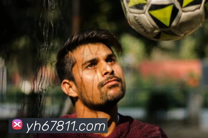 多媒体互动体验